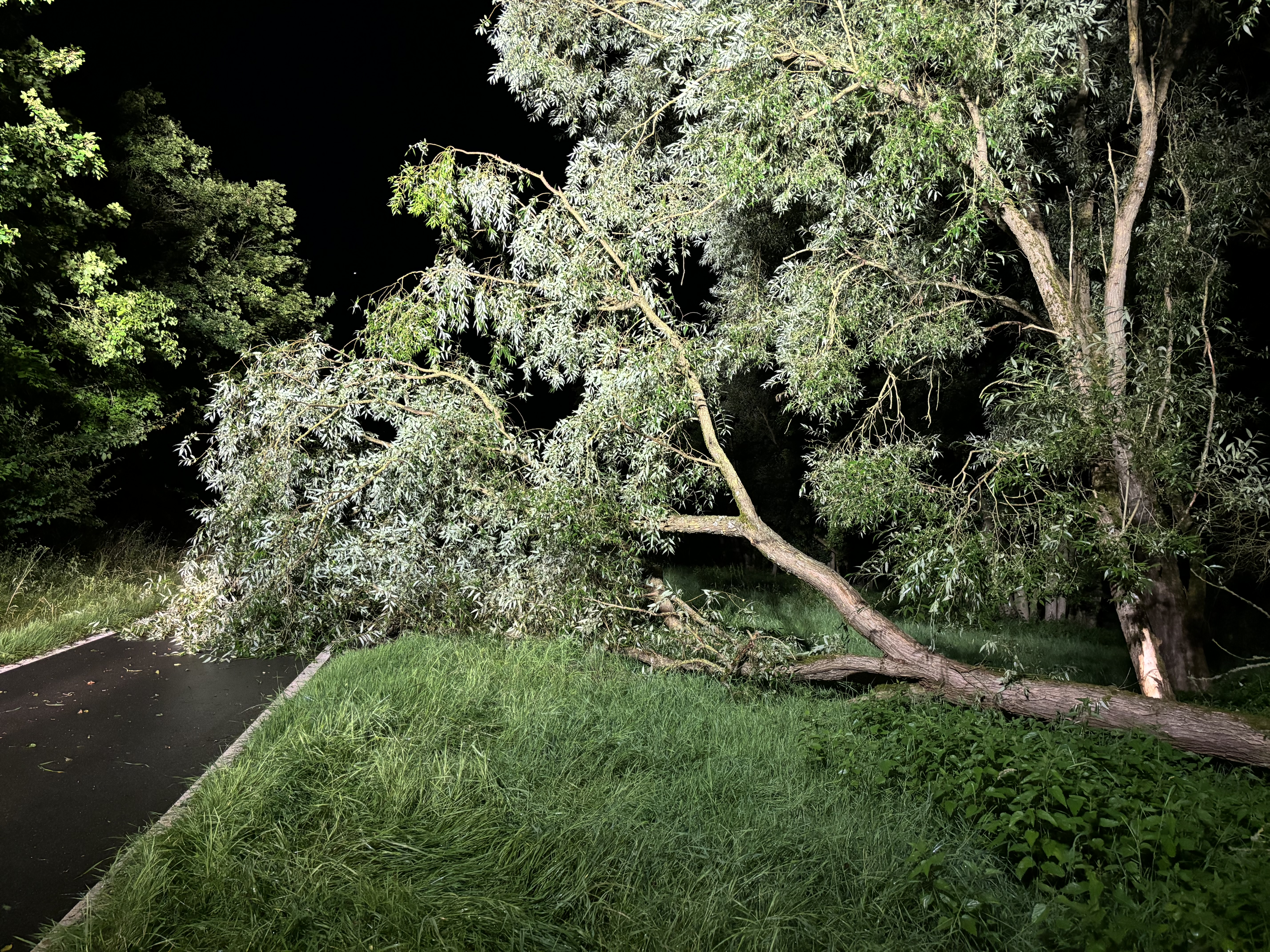 24-07-06 22-43-44 8013.jpg